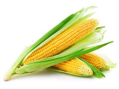 Corn: one of the worst things to put down your garbage disposal